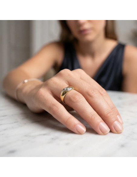 Anillo "Fedina" en oro bicolor y circonitas.